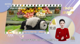 伊人色播
